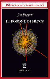 bosone higgs